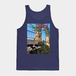 Greek cat Tank Top